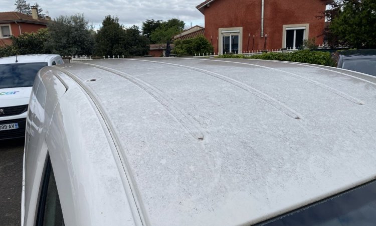 Déflocage de véhicule utilitaire pour une jardinerie à Saint Priest